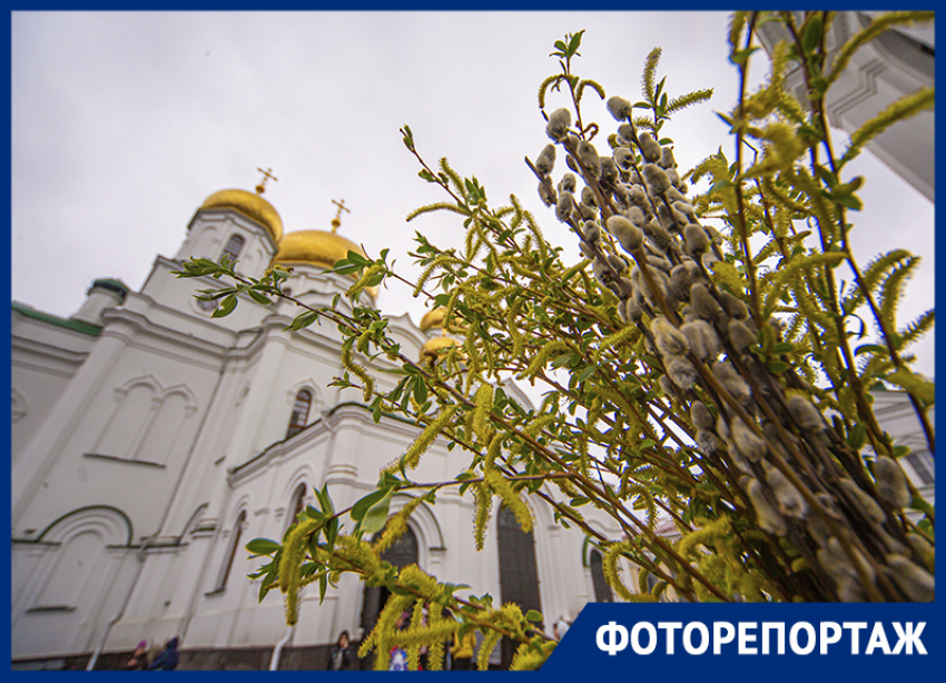 Верующие жители Ростова встретили Вербное воскресенье в храмах города