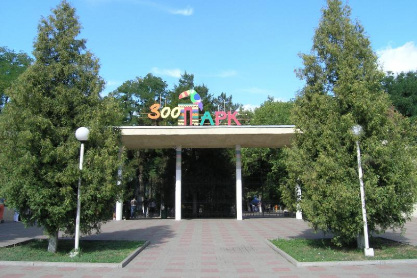 Ростовчанам предлагают посетить зоопарк, обменяв килограмм пластика на билет