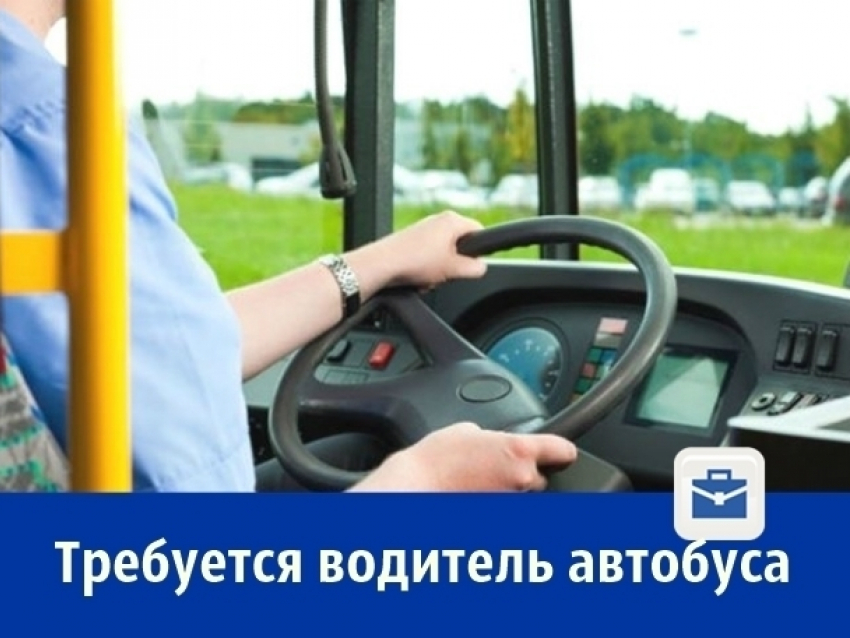 Ищем водителей автобусов в нашу дружную компанию