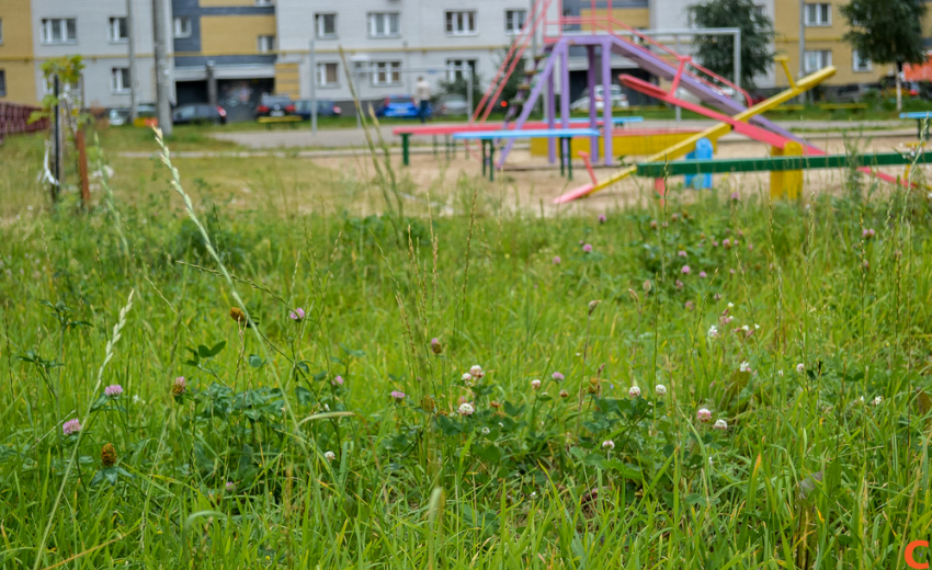 Нескошенная трава обойдется нарушителям в полмиллиона рублей