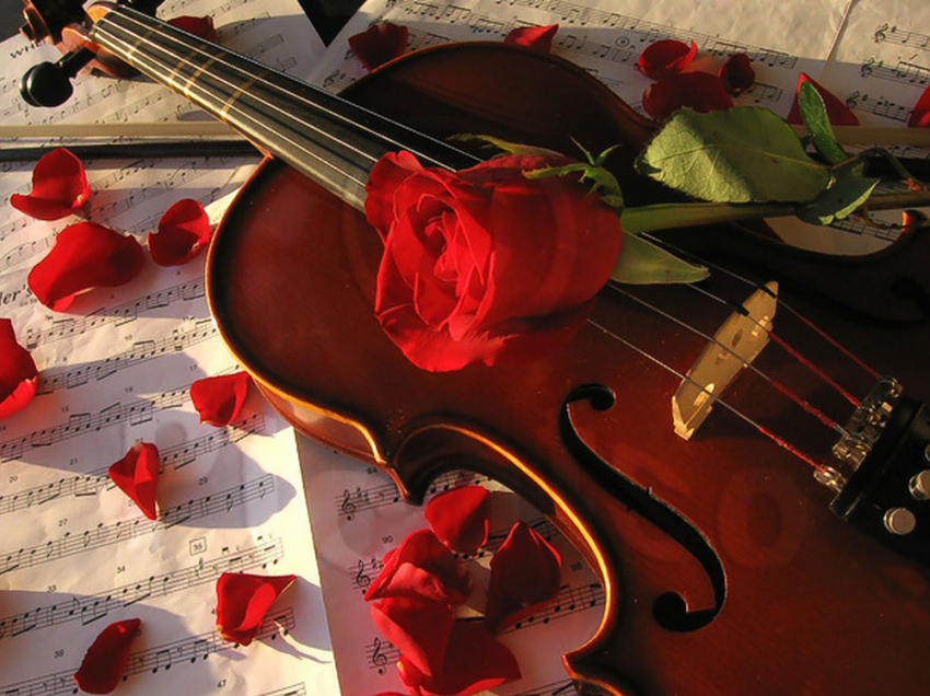 Ростовский академический оркестр подготовил концерт «День влюбленных»