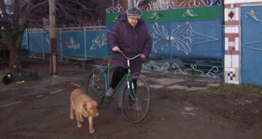  Ветеринар из Ростовской области приняла участие во всемирном флешмобе «На работу на велосипеде»  