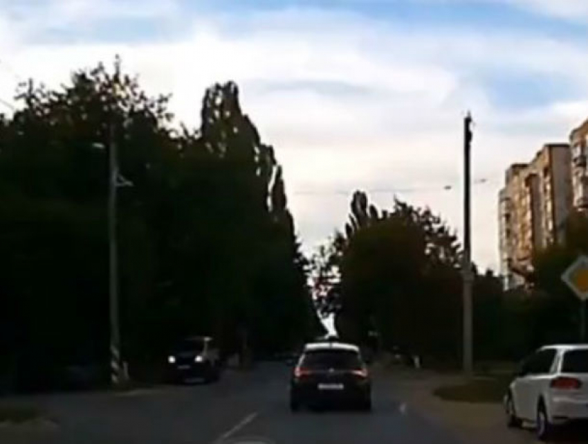 Автохамка с пробелами в воспитании мусорит на дорогах Ростовской области на видео