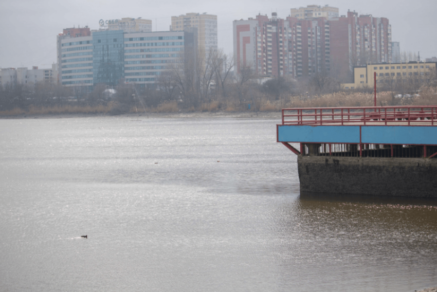 В Северном водохранилище в Ростове снизили уровень воды для ремонта