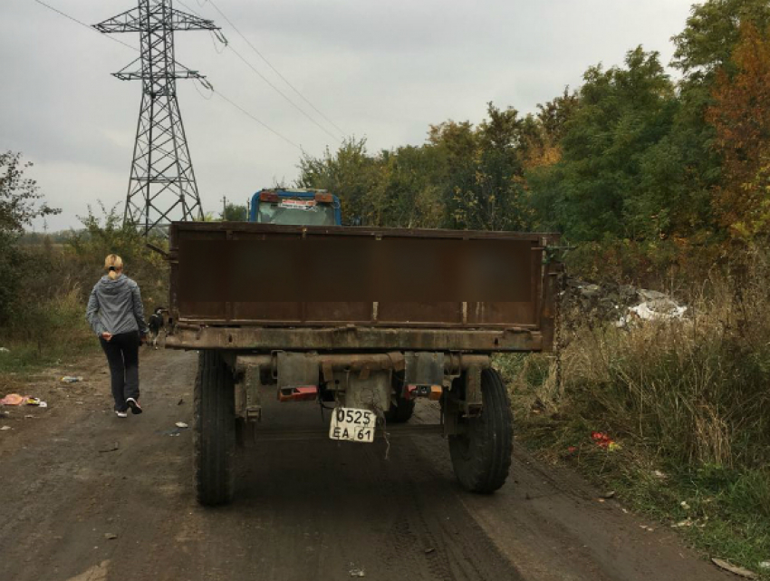 «Неизвестно откуда» взявшиеся горы мусора в лесопосадке вызвали жаркие споры горожан