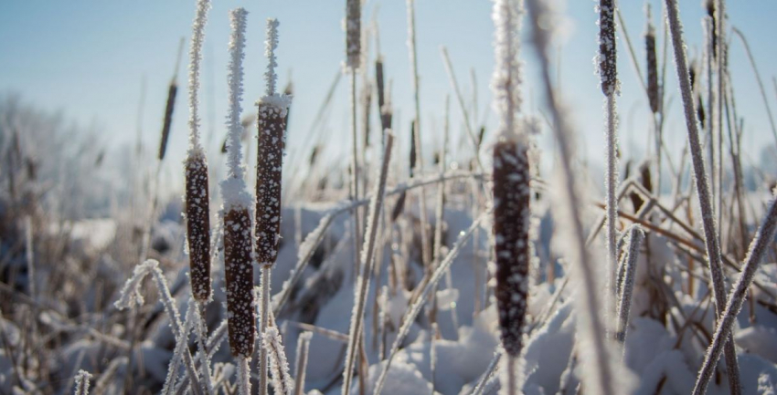В Ростовской области 6 декабря температура упадет до -16°