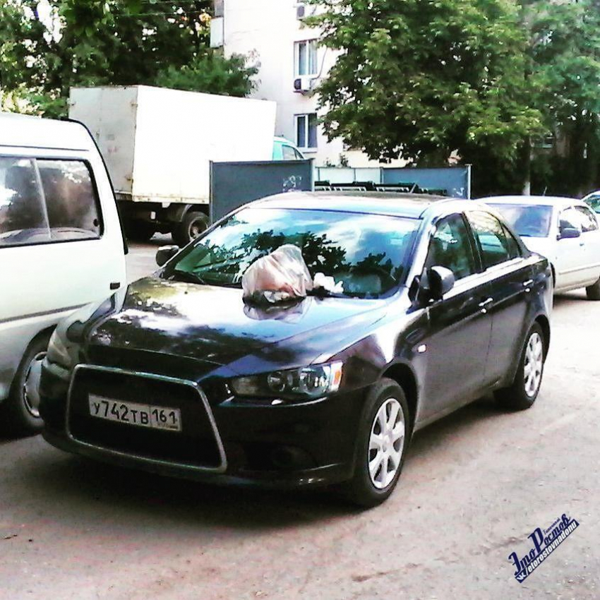 Местные жители закидали иномарку мусором в Ростове из-за хамской парковки