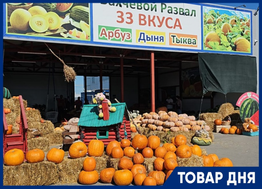 ТОВАР ДНЯ: Тыква в подарок на тыквенной ферме Андраника Срапионяна 