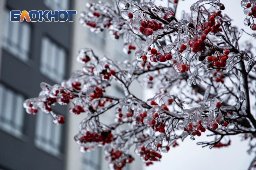 Мороз до -31 градуса придет в Ростовскую область в феврале