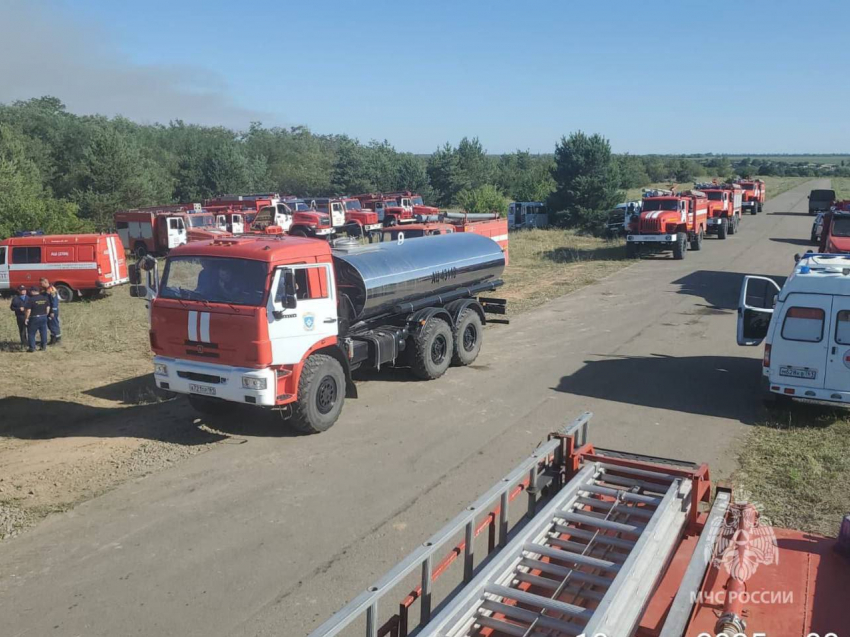 Крупный лесной пожар вспыхнул на территории лесничества в Ростовской области