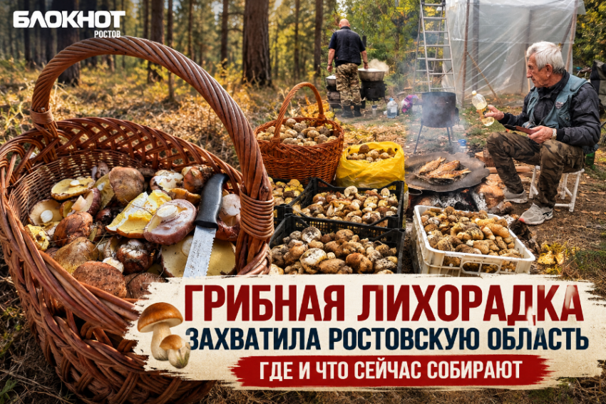 Грибная охота по-ростовски: заядлый грибник рассказал о любителях тихой охоты на Дону