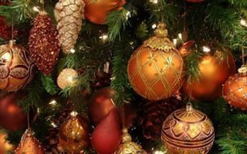 Новогодняя елка на Соборной площади открылась в Ростове