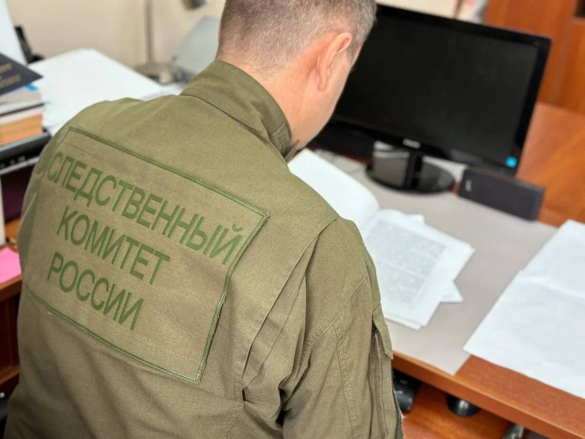 Экс-сотрудницу полиции из Ростовской области подозревают в передаче данных из служебной базы