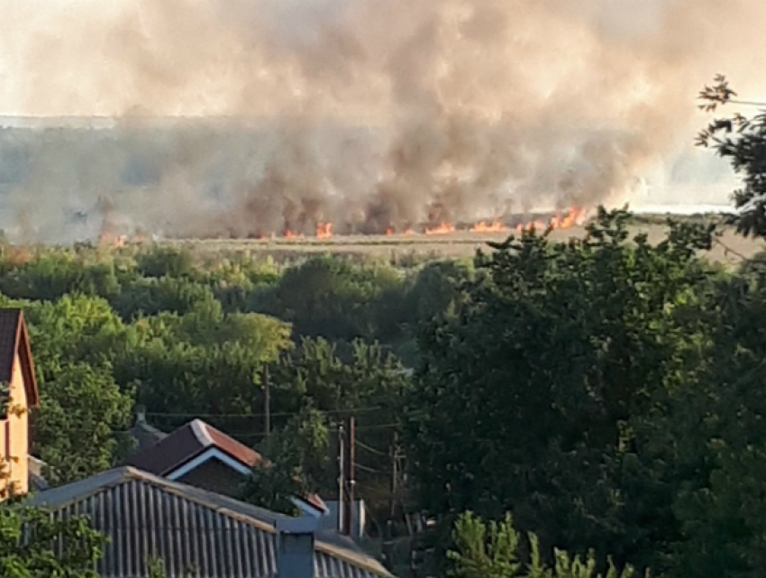 В Ростове ярким пламенем полыхает Кумженская роща