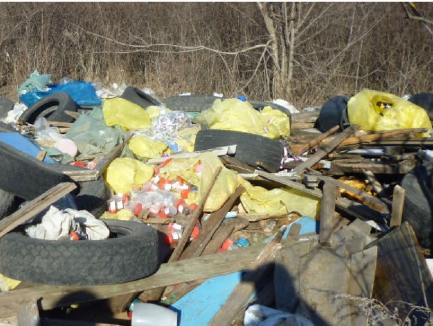 Экологи нашли устроившего свалку медицинских отходов возле Ростовского моря 