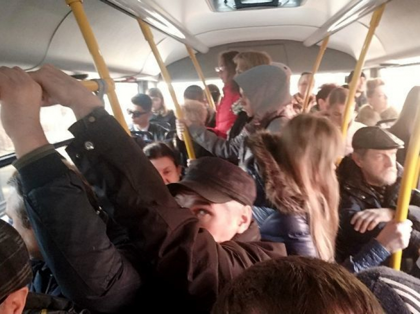 "Горячую линию» для недовольных транспортом пассажиров открыли в Ростове