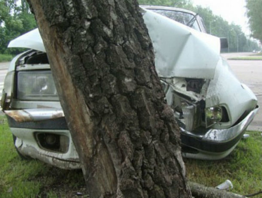 Смертельный таран дерева за рулем автомобиля совершил мужчина в Ростове