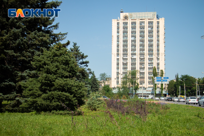 Тендер на озеленение Ростова сорвался из-за единственной заявки