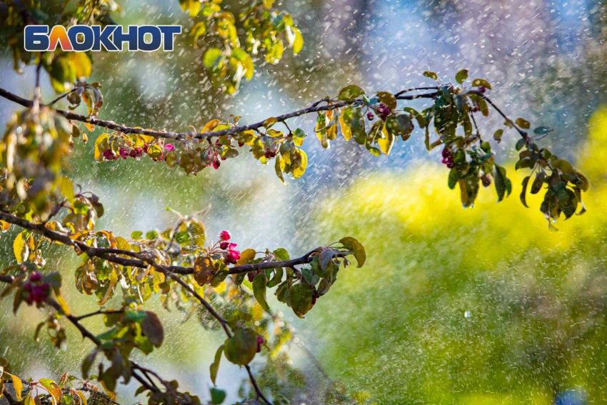 Август может начаться в Ростове с сильных дождей