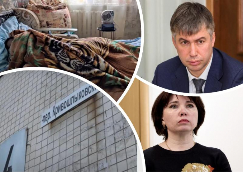 Депутат гордумы Ростова потребовала отставки сити-менеджера Логвиненко