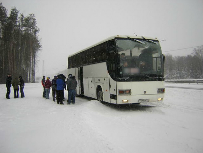 Беременную девушку с голодными пассажирами ростовского автобуса спасли от мороза под Саратовом