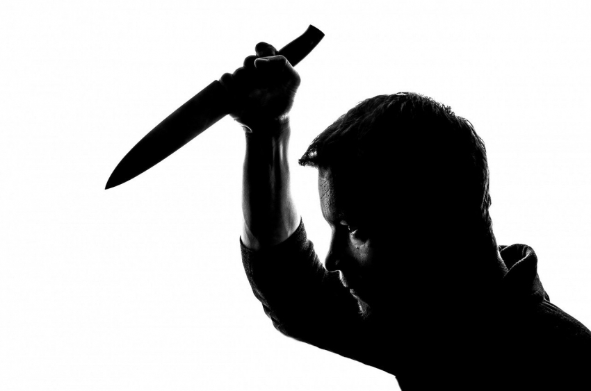 В Ростовской области мужчина с ножом напал на подростков