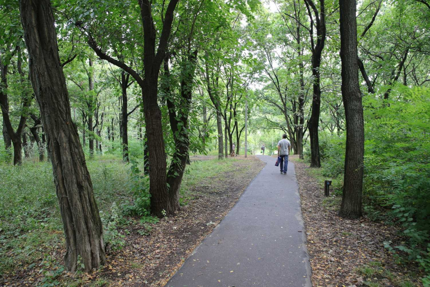 Роща «Дубки» в Ростовской области получила статус особо охраняемой