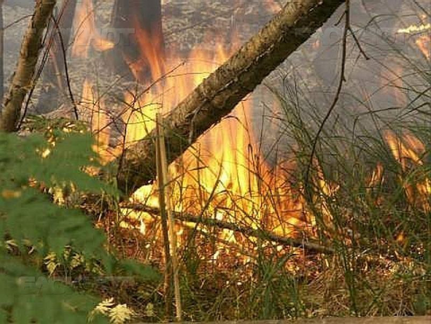 В Ростовской области отмечается чрезвычайная пожароопасность