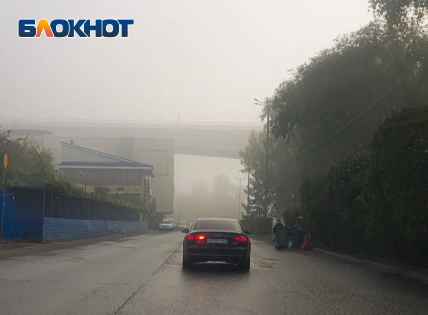 Водителей Ростовской области предупредили о сильном тумане