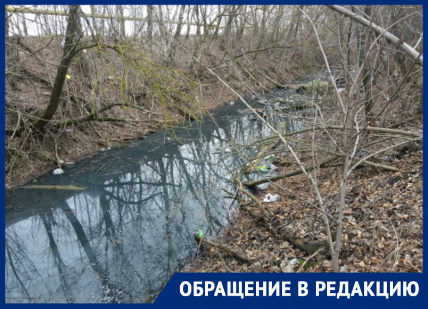 Поселку под Ростовом из-за слива сточных вод в канал грозит экологическая катастрофа