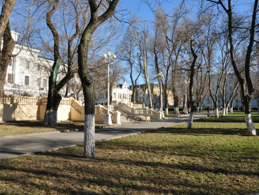 Долгожданная весенняя жара согреет замерзшие косточки жителей Ростова в этот вторник