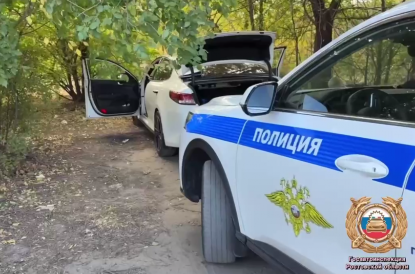 Наркодилер укусил инспектора ДПС и лишился наркотиков при задержании в Ростовской области