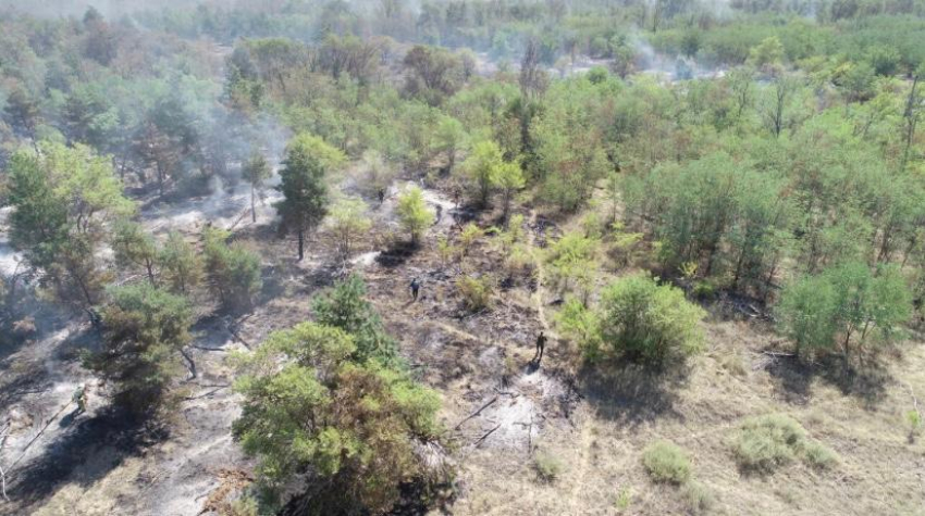 Спасатели почти сутки тушили крупный пожар в Ростовской области