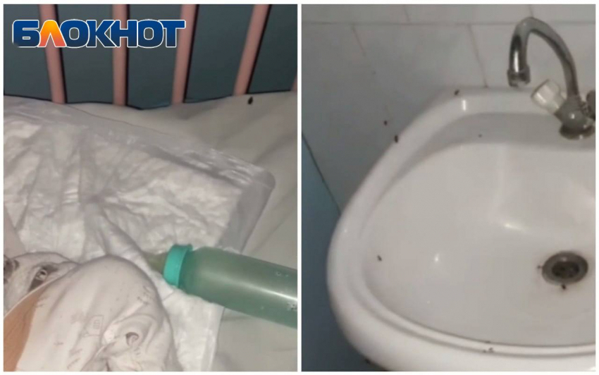 «Тараканы бегают по детским кроваткам»: новошахтинец рассказал об антисанитарии в детской городской больнице