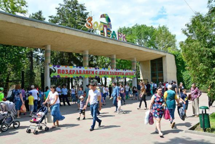 Ростовский зоопарк приглашает на свой 89 день рождения