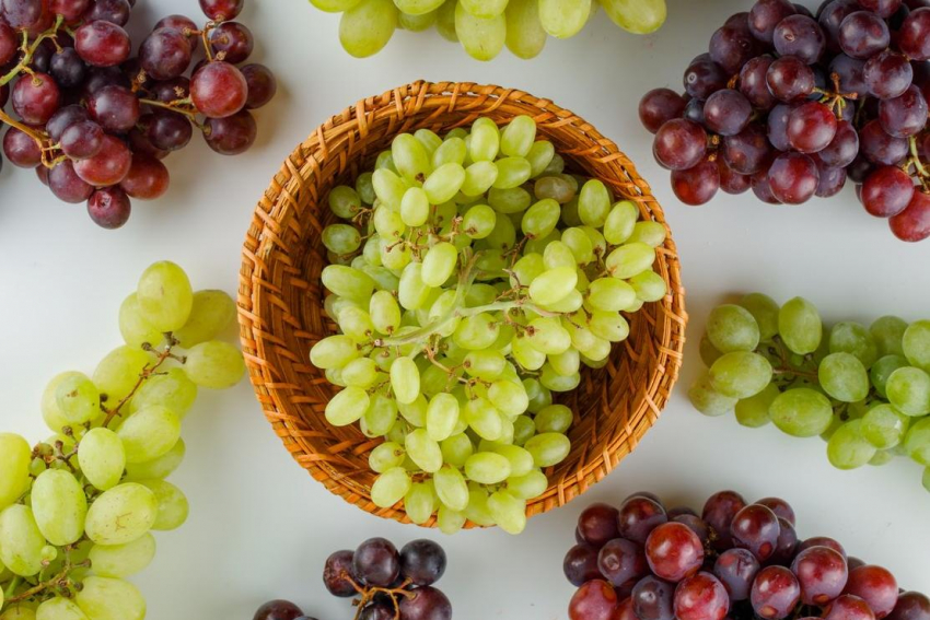 Эксперты рассказали ростовчанам как получить хороший урожай винограда