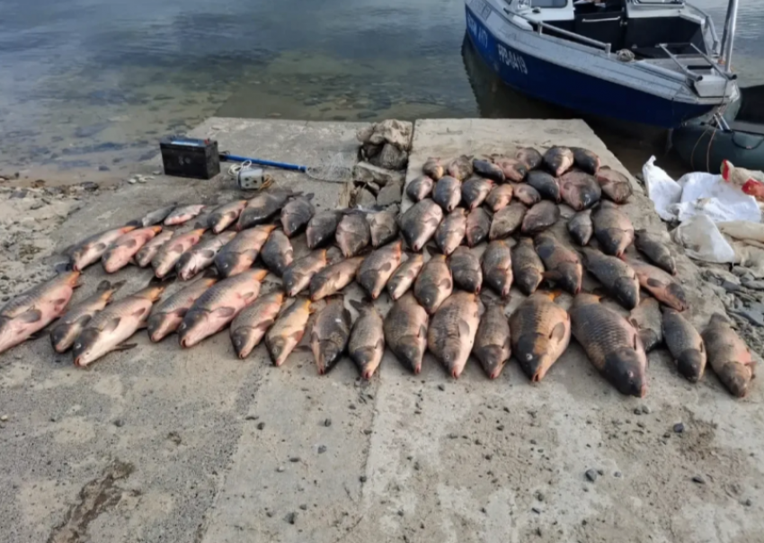 Рыбалка с током на Цимле закончилась для браконьера уголовным делом