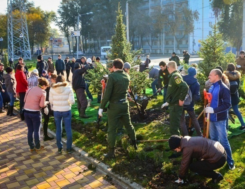 Большие средства из федерального бюджета выделены на благоустройство городов Ростовской области