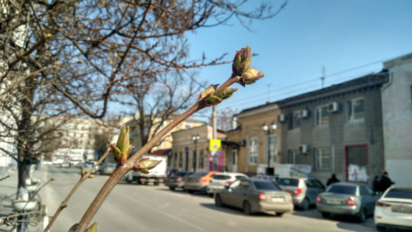 Ростов ждет потепления: прогноз погоды на вторник 26 марта