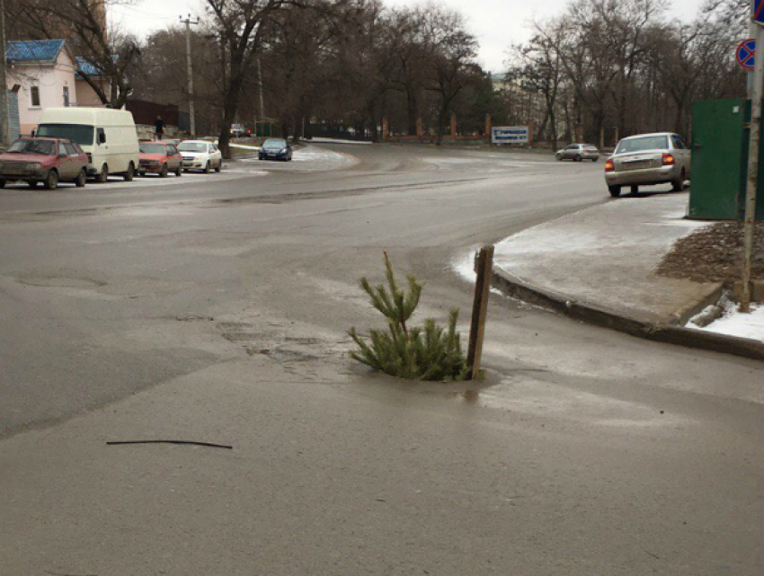 Зияющую дыру в асфальте на проезжей части жители Ростова «украсили» новогодней елкой