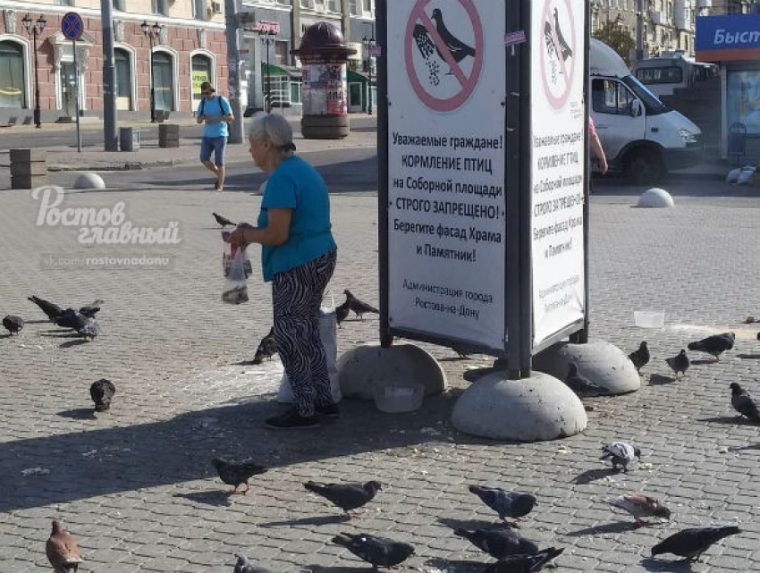 Ростовская бунтарка продолжает делать это в центре города, наплевав на запреты