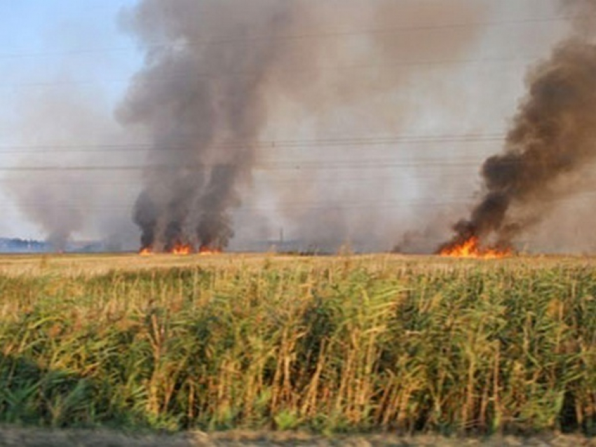 В Ростовской области из-за попадания снарядов загорелось поле
