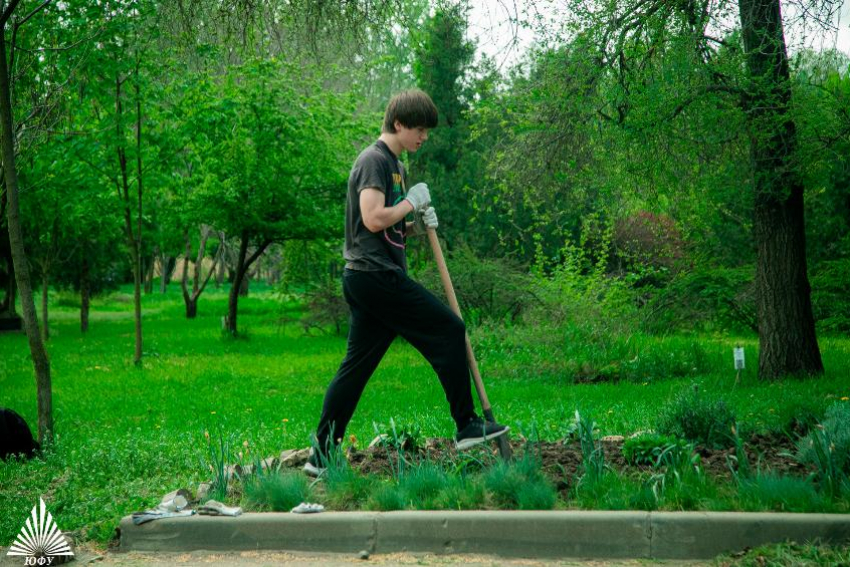 Осенние посадки в донском регионе: какие деревья и цветы приживутся лучше всего