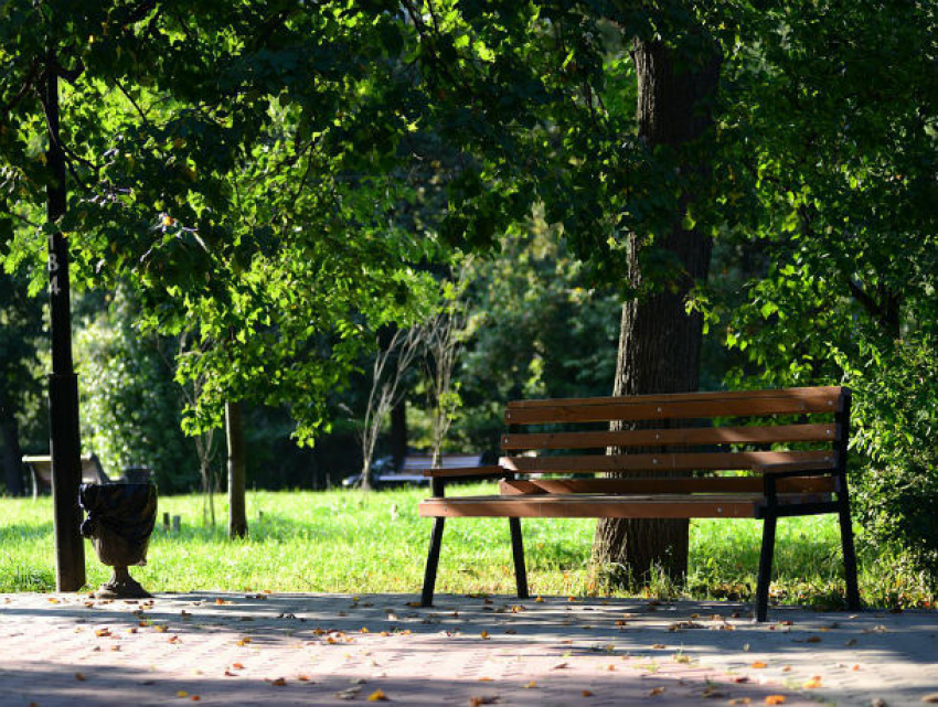 Сделать парк на улице Станиславского просят изнывающие от жары ростовчане