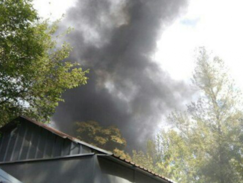 Огромное «душащее» Ростов пламя добралось сразу до двух крупных объектов за час 