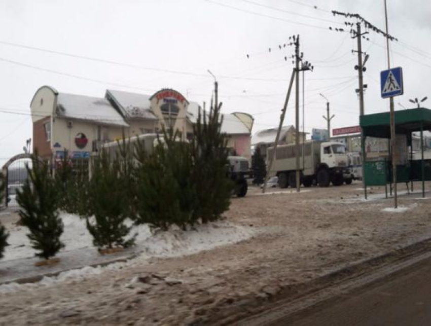 Восточный Темерник в Ростове «масштабно» блокировали бойцы Росгвардии