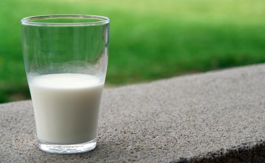 В Ростовской области суд запретил заводу производить молоко