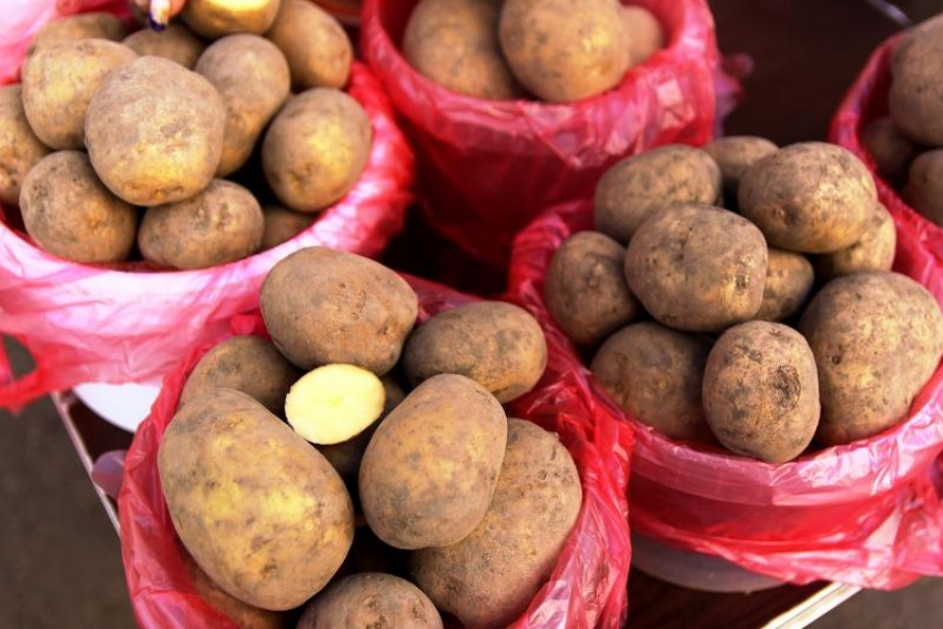 Осенью в Ростовской области цены на картофель вырастут до 80 рублей за килограмм 