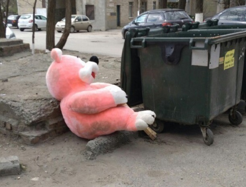 Огромный розовый медведь у контейнера вызвал бурные эмоции жителей Ростова 