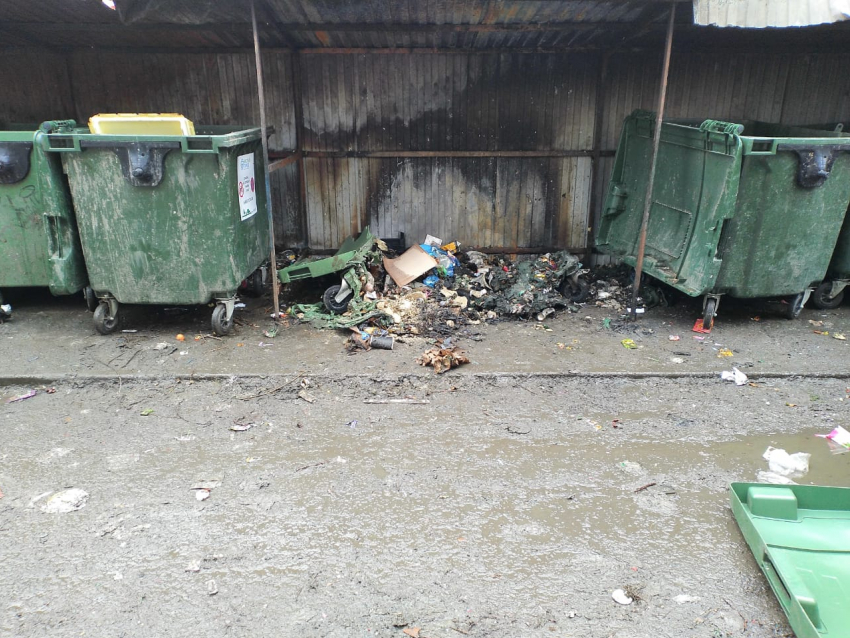 В Ростове с начала года сожгли полтысячи мусорных контейнеров